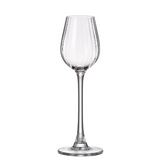Set de 6 copas Licor Columba optic 24x 90 ml