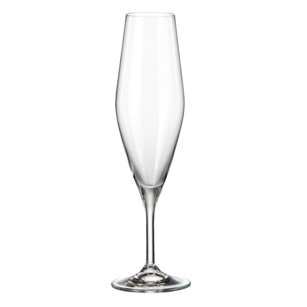 Set de 6 copas Flauta Gavia 210 ml
