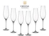 Set de 6 copas Flauta Limosa 300 ml