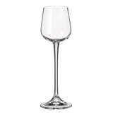Set de 6 copas Licor Ardea 60 ml