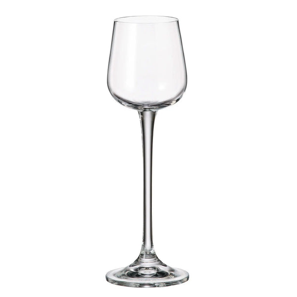 Set de 6 copas Licor Ardea 60 ml