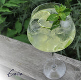 Set de 6 copas Vino Blanco Gavia 300 ml
