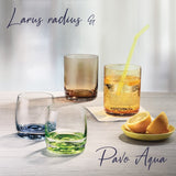 Set de 6 vasos Tumbler Pavo Aqua 230 ml